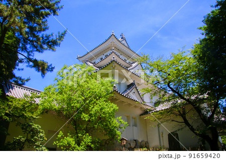 大垣城(岐阜県・大垣市) 大垣城(岐阜県・大垣市) 91659420