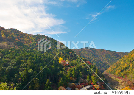 錦秋の保津峡を嵐山公園展望台から望む 錦秋の保津峡を嵐山公園展望台から望む 91659697