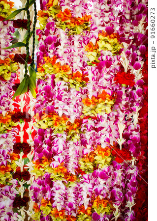 レイ レイ 91660273