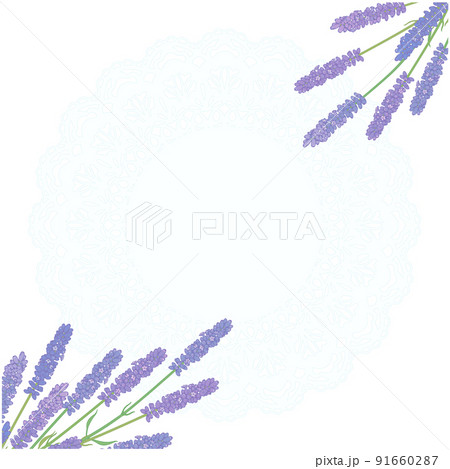 ラベンダーの背景 正方形 レース のイラスト素材