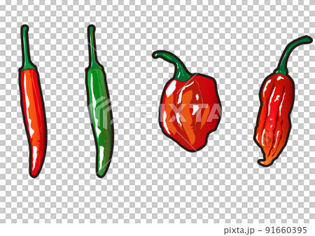 辣椒家族 91660395