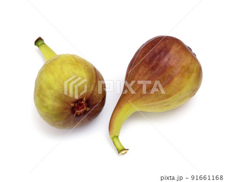イチジク イチジク 91661168