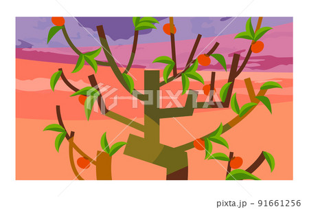 日本の美しい四季を織りなす古民家と合掌作り。 背景としても壁紙としてもご利用ください。 91661256