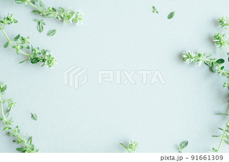 ハーブ ナチュラルな植物の背景素材 ハーブ ナチュラルな植物の背景素材 91661309