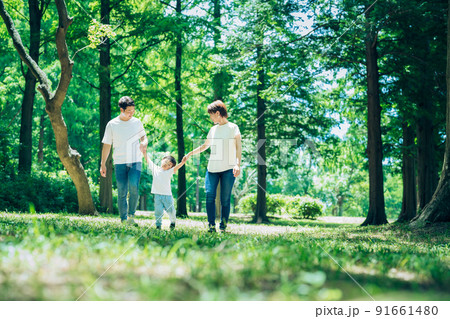 森の中を探検する親子 森の中を探検する親子 91661480