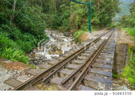 ペルーレイル 91663550