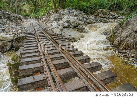 ペルーレイル 91663552