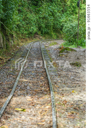 ペルーレイル ペルーレイル 91663554