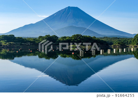 山梨県富士五湖のうちの一つの精進湖と富士山 山梨県富士五湖のうちの一つの精進湖と富士山 91664255