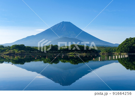 山梨県富士五湖のうちの一つの精進湖と富士山 山梨県富士五湖のうちの一つの精進湖と富士山 91664256