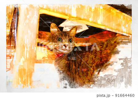 猫 ネコ ねこ キジトラ 白 グレー 子猫 雌 メス 雌ねこ 雌ネコ 雌猫 元気 かわいい 癒し 91664460