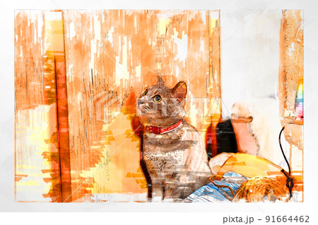 猫 ネコ ねこ キジトラ 白 グレー 子猫 雌 メス 雌ねこ 雌ネコ 雌猫 元気 かわいい 癒し 91664462