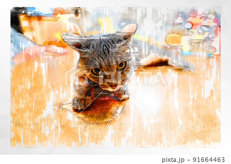 猫 ネコ ねこ キジトラ 白 グレー 子猫 雌 メス 雌ねこ 雌ネコ 雌猫 元気 かわいい 癒し 91664463