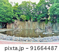 公園の緑と池の水 91664487