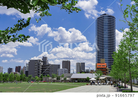 豊島区東池袋のイケ・サンパークと周辺の街並み 豊島区東池袋のイケ・サンパークと周辺の街並み 91665797