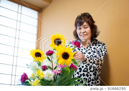 花を生けるシニア女性 花を生けるシニア女性 91666290