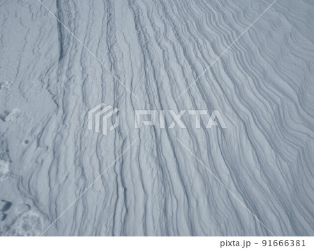 自然の芸術　シュカブラ 91666381