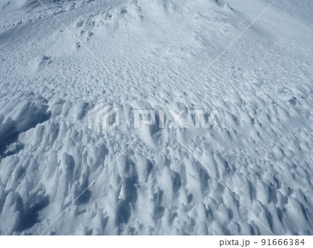 自然の芸術　シュカブラ 91666384