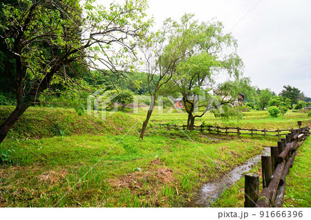 箱島ほたるの里【群馬県吾妻郡】 箱島ほたるの里【群馬県吾妻郡】 91666396
