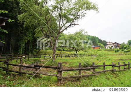 箱島ほたるの里【群馬県吾妻郡】 91666399