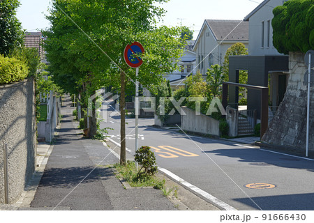 夏の郊外の街路樹のある住宅地の道 夏の郊外の街路樹のある住宅地の道 91666430