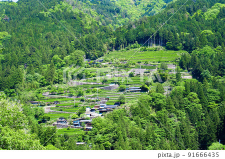 中井侍の斜面集落【長野県天龍村】 中井侍の斜面集落【長野県天龍村】 91666435