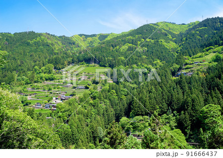 中井侍の斜面集落【長野県天龍村】 中井侍の斜面集落【長野県天龍村】 91666437