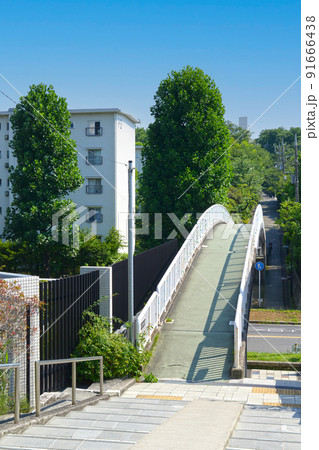 青空の下の昭和の団地と街路樹のある歩道橋 91666438