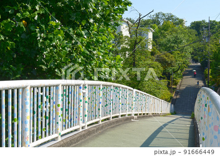 青空と街路樹のある歩道橋 91666449
