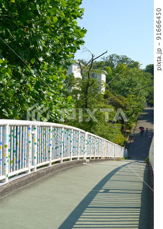 青空と街路樹のある歩道橋 91666450