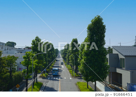 青空と歩道橋から見た郊外の住宅街のメインストリート 青空と歩道橋から見た郊外の住宅街のメインストリート 91666451