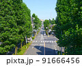青空と歩道橋から見た郊外の住宅街のメインストリート 91666456