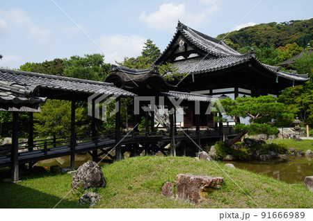 初夏の高台寺 開山堂と観月台 初夏の高台寺 開山堂と観月台 91666989
