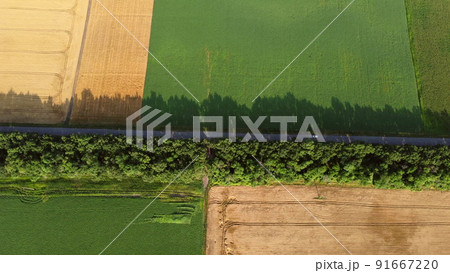 Automobile road with car driving along it between yellow green agricultural fields with different agricultural crops. Aerial Drone View. Agrarian field, agricultural culture. Agroindustrial industry 91667220