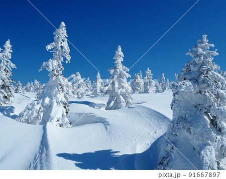 青と白の世界 91667897