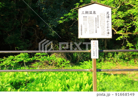 三朝温泉　足湯「かじかの湯」 91668549