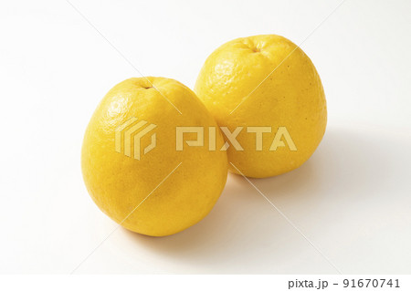 晩柑 晩柑 91670741