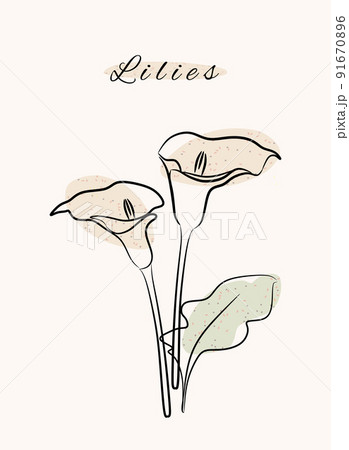 Lilies floral botanic nature line art hand drawn with abstract grunge organic shapes. 91670896