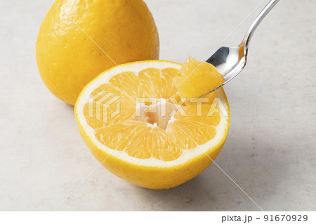 晩柑 晩柑 91670929