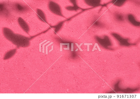 Shadow of leaves on pink concrete wall texture background Shadow of leaves on pink concrete wall texture background 91671307
