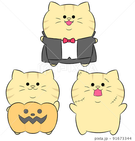 ゆるかわ茶トラのハロウィンコスプレ　3点セット② 91673344
