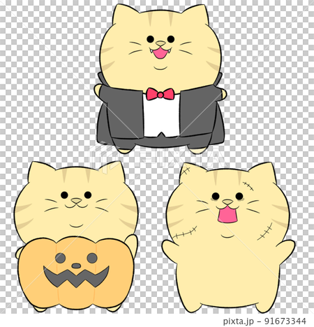 ゆるかわ茶トラのハロウィンコスプレ　3点セット② 91673344