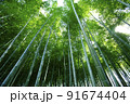 竹 91674404