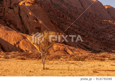 Spitzkoppe around sunset 91676086