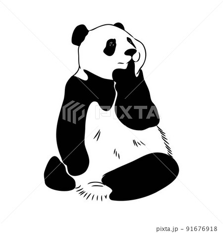 Vector realistic sketch of Panda figure in full-length, Hand drawn illustration 91676918