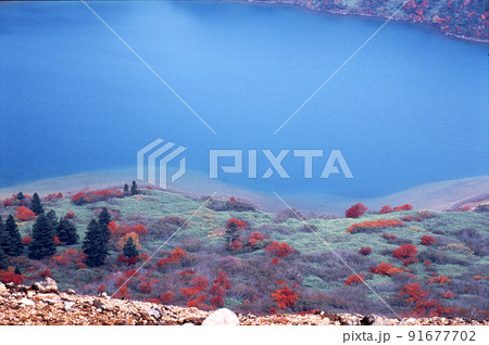 福島県、浄土平から石山を登ると魔女の瞳と呼ばれる五色沼がある。紅葉の木々と鮮やかなブル-と対比が綺麗 福島県、浄土平から石山を登ると魔女の瞳と呼ばれる五色沼がある。紅葉の木々と鮮やかなブル-と対比が綺麗 91677702