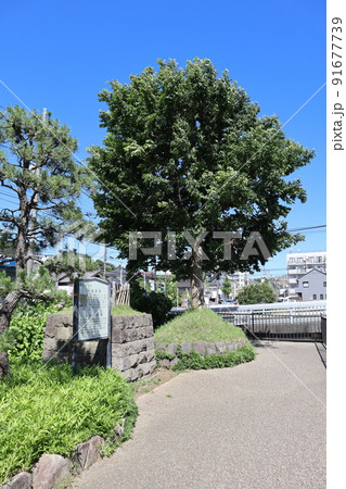 保土ケ谷一里塚跡　保土ケ谷宿上方見附跡 91677739