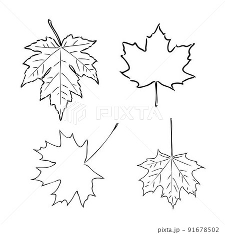 fall leaf clipart, black and white leaf drawing, vector clipart fall leaf clipart, black and white leaf drawing, vector clipart 91678502