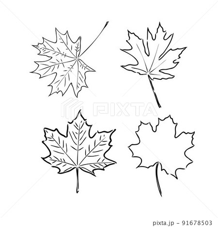 fall leaf clipart, black and white leaf drawing, vector clipart 91678503