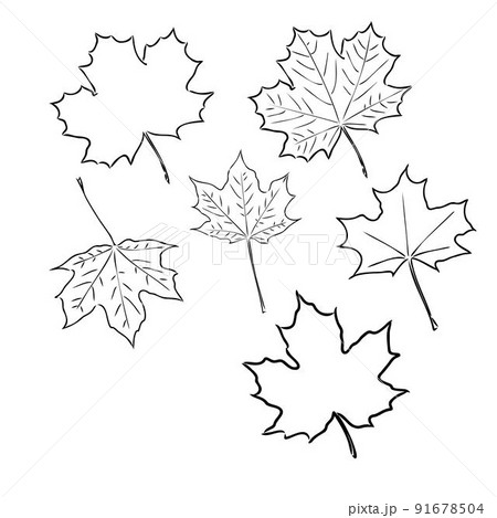 fall leaves clipart black and white